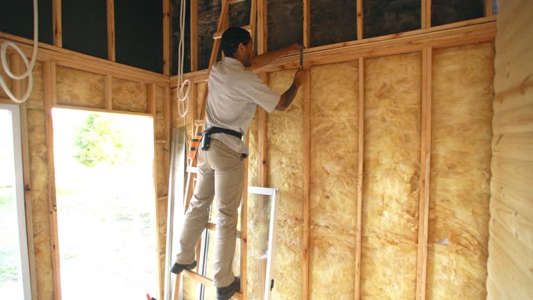 Best Blown-In Insulation  in Santa Clara, UT